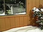 2005-01-23_snow-storm 068.JPG